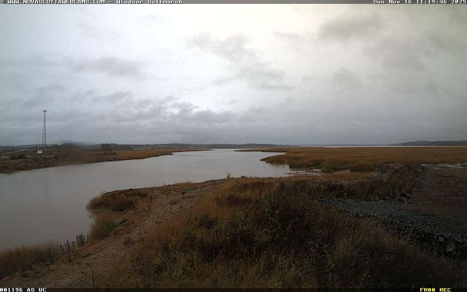 Nova Scotia cams Windsor Salt Marsh North of the causeway on